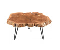 Nila Live Edge Coffee Table