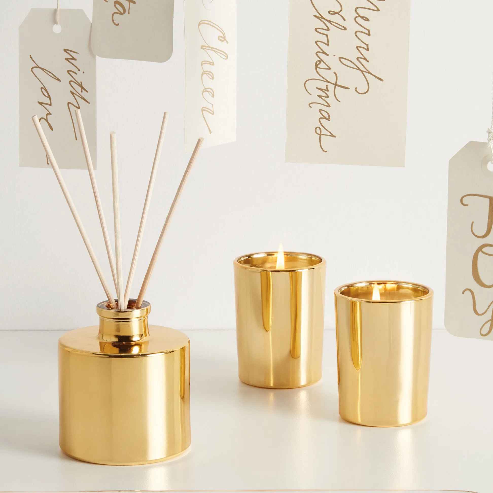 Frasier Fir Petite Gold Reed Diffuser