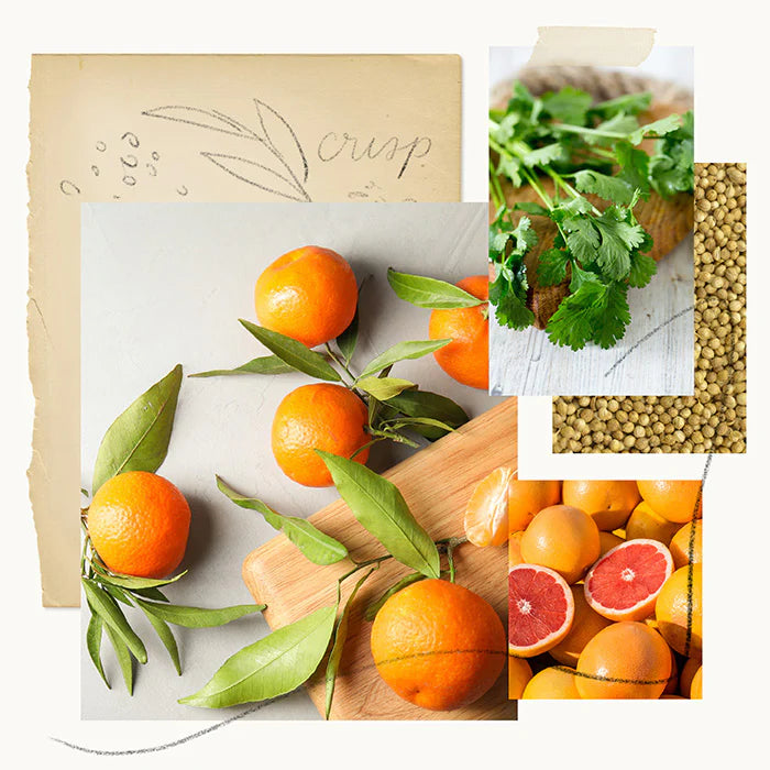 Hand Wash Mandarin Coriander