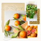 Hand Wash Mandarin Coriander